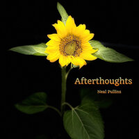 Afterthoughts - Neal Pullins