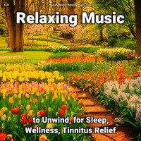 Relaxing Music Pt. 63 - Peaceful Music & Relaxing music & Yoga