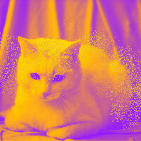 Astonishing Comfy Cats - Sleepy Cats