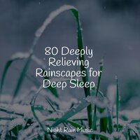 Waves by the Beach - Heavy Rain Sounds & White Noise Baby Sleep & Ambient Arena