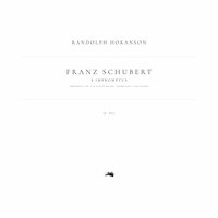 4 Impromptus, D. 935: Impromptu No. 3 in B-Flat Major: Variation 3 - Франц Шуберт & Randolph Hokanson