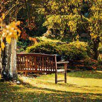 Meditation for insomnia treatment - Lico