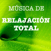 Sanar el Cuerpo - Mundo de Relajación