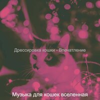 Атмосфера (Котята) - Музыка для кошек вселенная