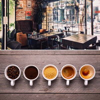 Exquisite Cooking Classes - Cafe Jazz Duo