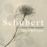 Piano Sonata in B-Flat Major, D. 960: III. Scherzo (Allegro vivace con delicatezza – Trio) - Daniel-Ben Pienaar & Франц Шуберт