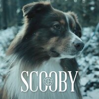 Scooby - Gibbs & Oliver Olson & Dopehouse