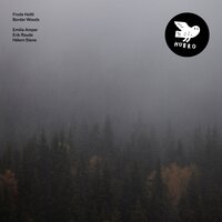 Quietly the Language Dies - Frode Haltli & Emilia Amper & Eirik Raude & Håkon Mørch Stene