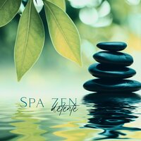 Expérience bouddhiste - Ensemble de Musique Zen Relaxante