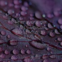 Relajado - Meditação Yoga & Musicas Crianças & Dormir e Meditar