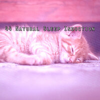 Красивый отдых - Deep Sleep Music Academy