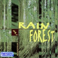 Jungle Drums - Bernhard Hering, Martin Wester, & Martin Wester & Bernhard Hering