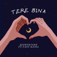 Tere Bina - ZEPHYRTONE & Vasu Raina