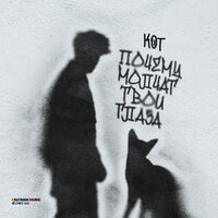 Почему молчат твои глаза - Кот