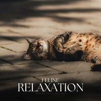 Subdued Within Echoing Layers - Soothing Cat Music