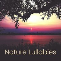 Whispering Nature - Soothing Motion