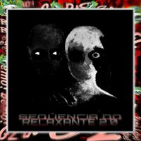 SEQUÊNCIA DO RELAXANTE 2.0 (Slowed) - DJ Zenshiro & 1NZZiDENT & G2 Bemò Label