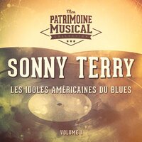 Pepperheaded Woman - Sonny Terry