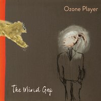 The Mind Gap - Ozone Player