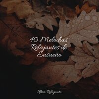 Siente La Paz - Musica Para Dormir y Sonidos de la Naturaleza & Maestros de música de la meditación & Música a Relajarse
