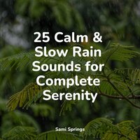 Floods of Rain - Childrens Music & Ruído branco & Winds and Oceans