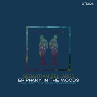 Epiphany in the Woods - Sebastian Sellares & Simply City