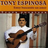 Que Te Parece - Tony Espinosa
