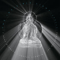 Mother Cross (We Think We Think) - T-Bone Burnett & Jay Bellerose & Keefus Ciancia