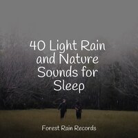 Window Rains in Waves - Anxiety Relief & Binaural Beats Brain Waves Isochronic Tones Brain Wave Entertainment & Academia de Relaxamento e Meditação