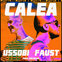 Calea - Nechifor & Faust & Ussobi