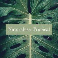 El Espíritu de la Naturaleza - Música para estudiar duro