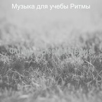 Настроения (Фокус) - Музыка для учебы Ритмы