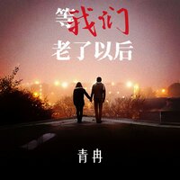 等我们老了以后 - 青冉