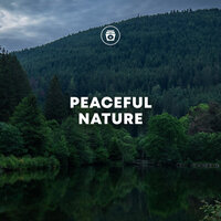 Relaxation - Nature Sounds