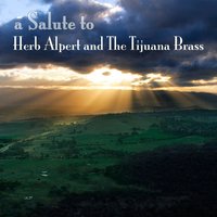 Mexican Shuffle (as made famous by Herb Alpert & The Tijuana Brass) - The Whipped Cream Brass Band