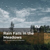 Rain Showers on Earth - ASMR Rain Sounds & Rain Sounds Nature Collection & Sleepy Rain