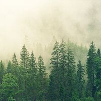 Peace and Tranquility - meditación musical & REIKI & Classical Lullabies