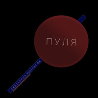 Пуля - Екатерина Яшникова