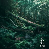 fifty forest fairies - Of These Woods