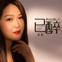 伤心的人已醉 - 大美