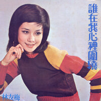 請你看看我 - 林友梅