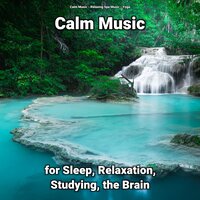 Soft Music for Studying - Calm music & Relaxing Spa Music & Yoga