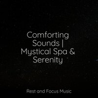 Fresh Forest Air - Entspannungsmusik Oase & Meditação Yoga & Relaxation Sleep Meditation