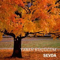 Yaban Küçüğüm - Sevda