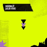 I saw it clearly - Julio Vive