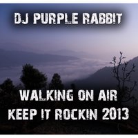 Walk On Air - DJ Purple Rabbit & Madness E