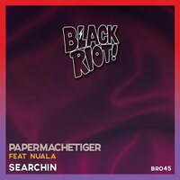 Searchin - PaperMacheTiger & Nuala