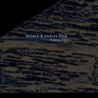 Hills Of Buda / Forest Flash - Butane & András Tóth