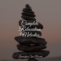 Tone of Silence - Rain Sounds & Nature Sounds & Baby Sleep Music & Sounds of Nature White Noise Sound Effects