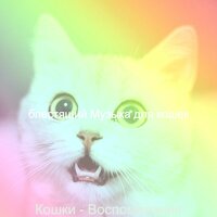Созерцая (Расслабляющие кошки) - блестящий Музыка для кошек